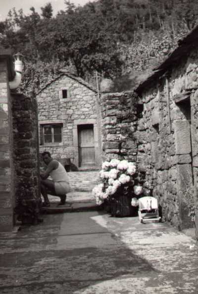 focetta2.jpg (33991 byte)