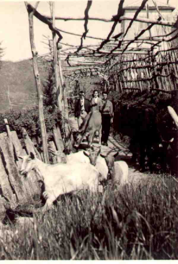 stradavecchiax.jpg (41398 byte)